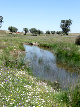 Pool at Castro Verde