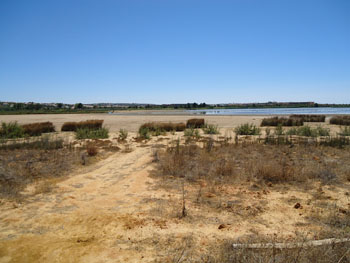 Pera Marsh showing the effects of the drought and the drop in tourist numbers