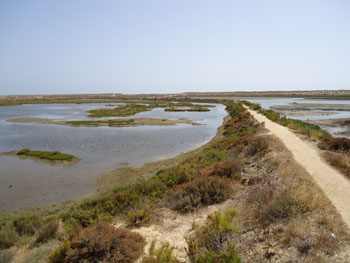 Lagoons at Quinta do Lago