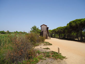 Hide overlooking Golf Course pool at Quinta do Lago