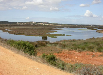 Alvor salt marsh