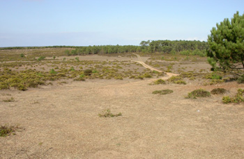 Cape St Vincent inland tracks