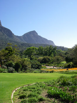 Kirstenbosch Botanical Gardens