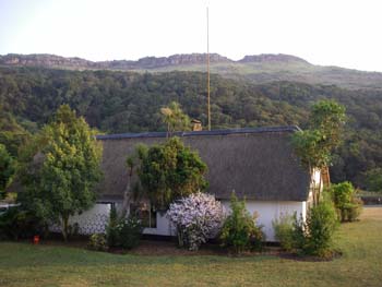 View over Afromontane Forest at Mount Sheba from our balcony