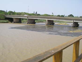 Bridge across Lake St Lucia on approach to town.