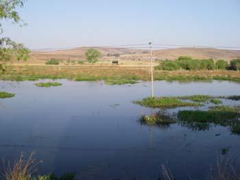 Wakkerstroom Wetlands Reserve