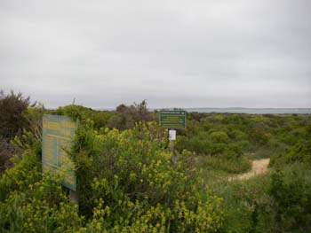 Seeberg Hide West Coast National Park