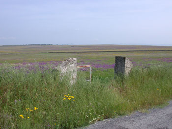 Belen Plains