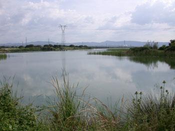 Embalse de Arroyocampo