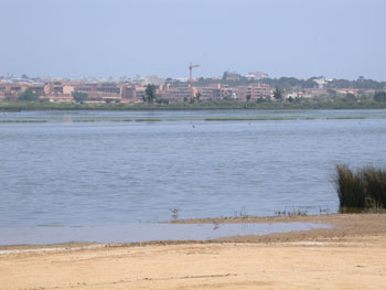 Pera Marsh Portugal