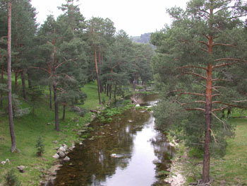 Puente del Duque Sierra Gredos