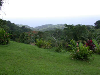 View from Bloody Bay Recreational Site