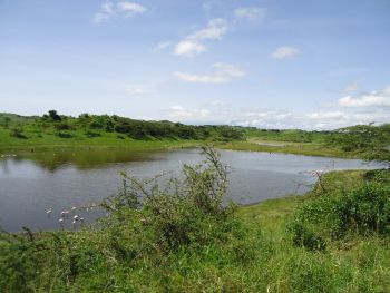 Large Momella Lake Arusha NP