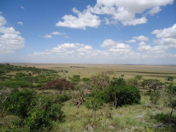 Plains surrounding the Naabi Hill Gate - official entrance to the Serengeti National Park