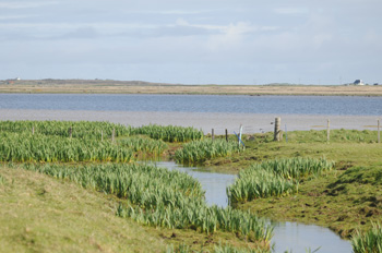 Loch a Phuill