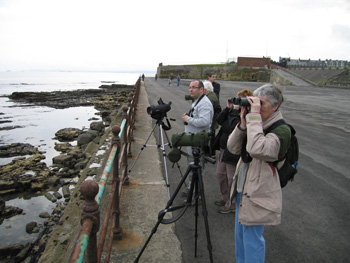 Hartlepool Headland