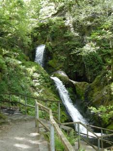 Dolgoch Falls